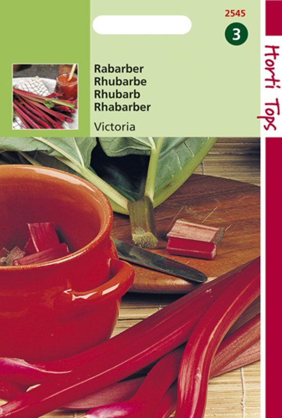 Rabarber Victoria (Rheum rhabarbarum) 70 zaden